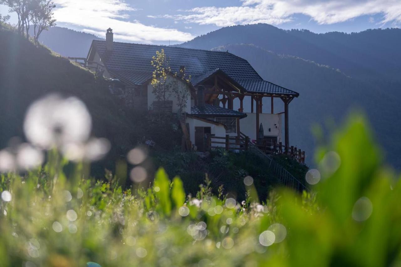 Zeneli Alpin Chalet Cerem Eksteriør billede